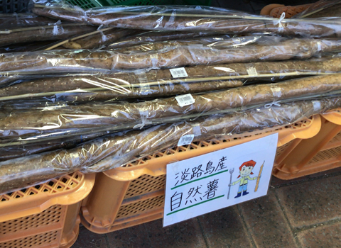 道の駅あわじ（兵庫県）で売っていた自然薯の写真