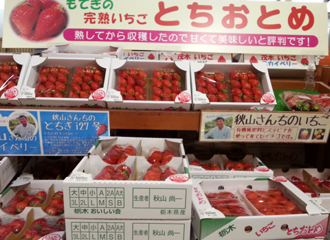 道の駅もてぎ（栃木県）で売っていたいちごの写真